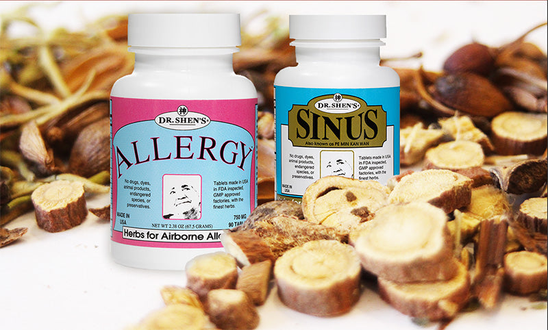 Bottles of Dr. Shen's Allergy Pills and Sinus Pills surrounded by raw Chinese herbs